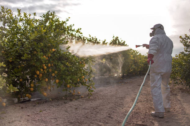 Best Mosquito Control Services  in Wilmerding, PA
